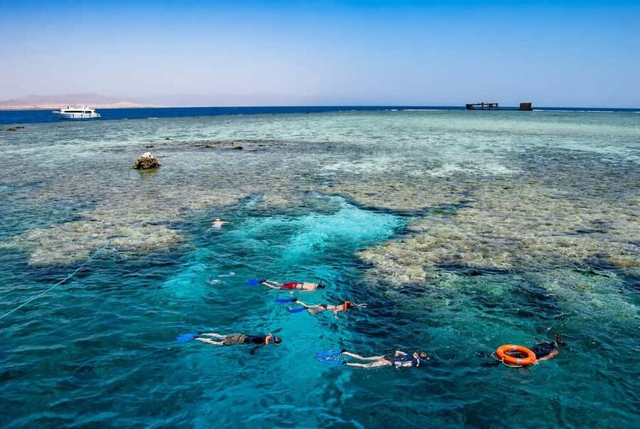 Hurghada: Dolphin Watching Boat Tour with Snorkeling & Lunch - How much value do you get for $25?
