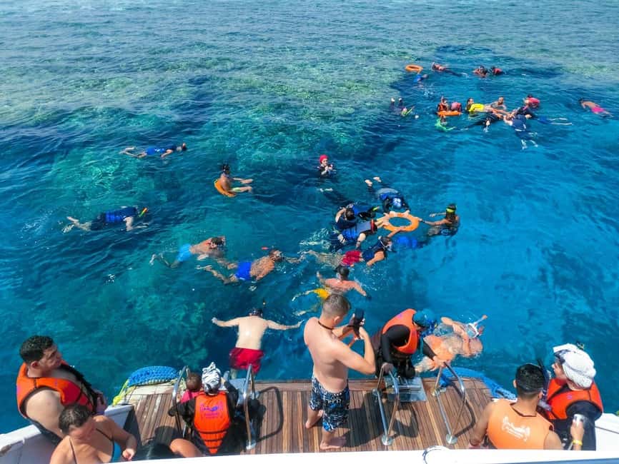 Hurghada: Dolphin Watching Boat Tour with Snorkeling & Lunch - The family question: is it suitable for children?