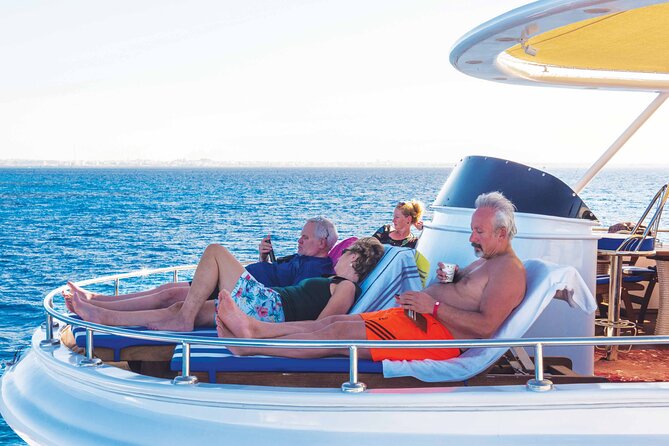 Hurghada: Dolphin World Show with Walruses and Pickup - Key points to know before you go