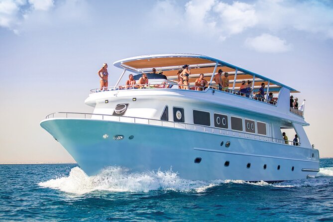 Hurghada: Dolphin World Show with Walruses and Pickup - Dolphins take center stage