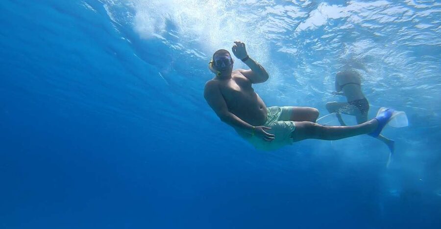 Hurghada or Makadi: Discover the Magic of Dolphin House - Why Dolphin House is more than a dolphin trip