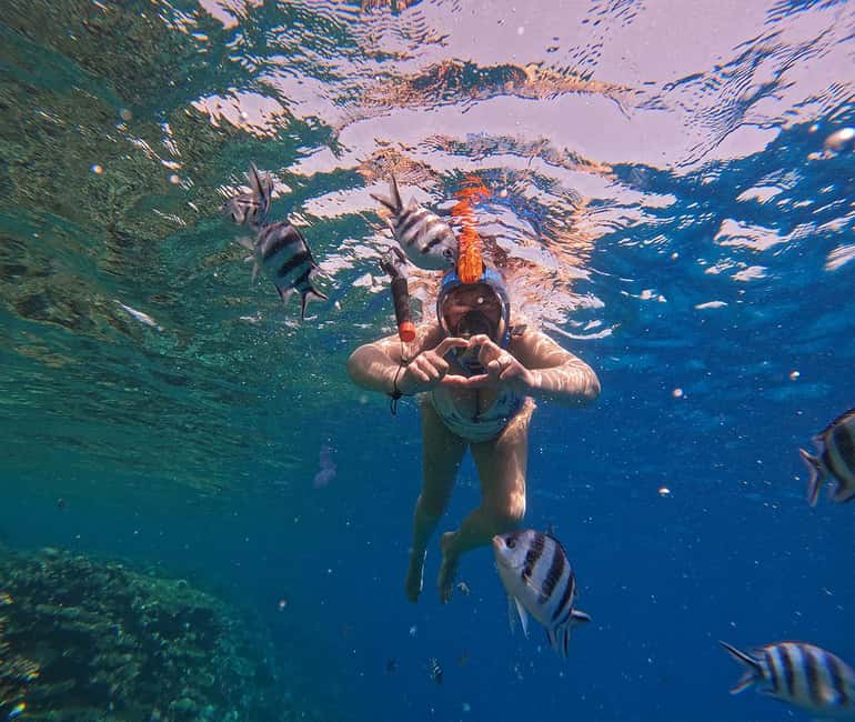Hurghada or Makadi: Discover the Magic of Dolphin House - Two snorkeling stops among Red Sea corals