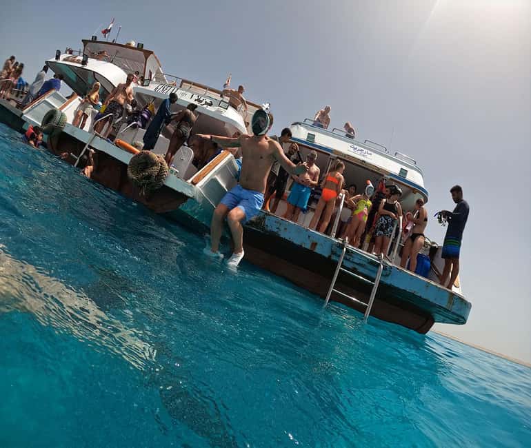 Hurghada or Makadi: Discover the Magic of Dolphin House - Who should book this experience?