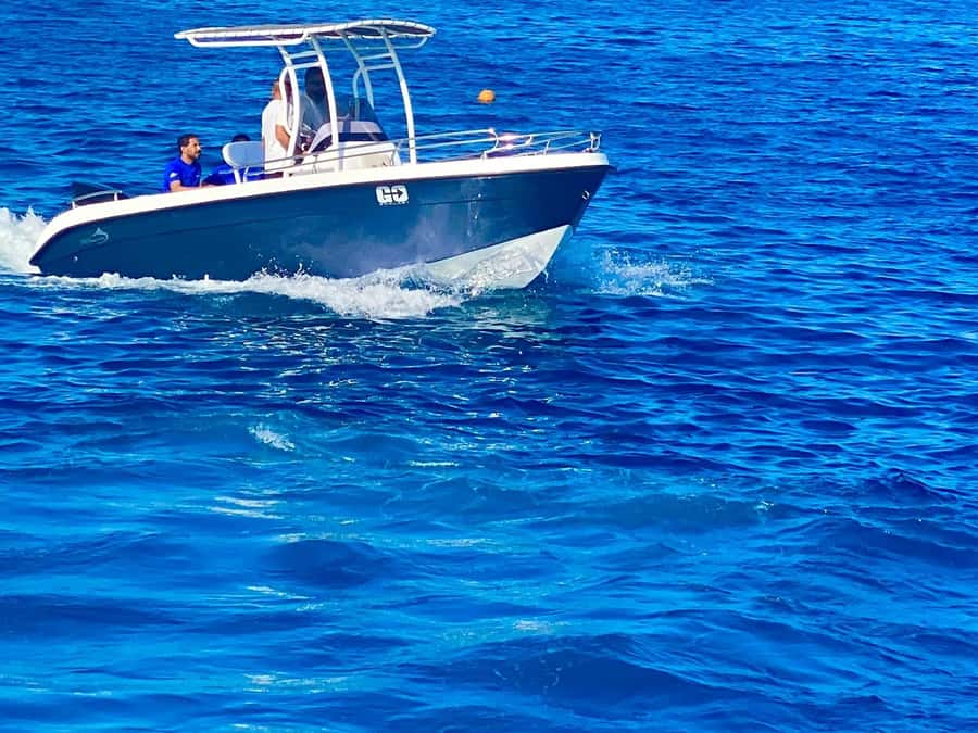 Hurghada: Orange Bay Dolphin Watching, Snorkeling & Lunch - Dolphin watching without false promises