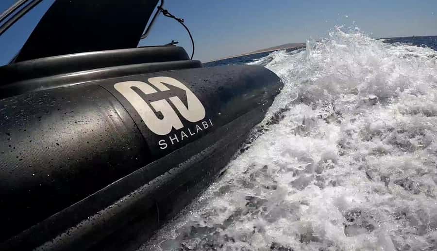 Hurghada: Private Speedboat to Dolphin House with Pickup - What the crew adds to the experience