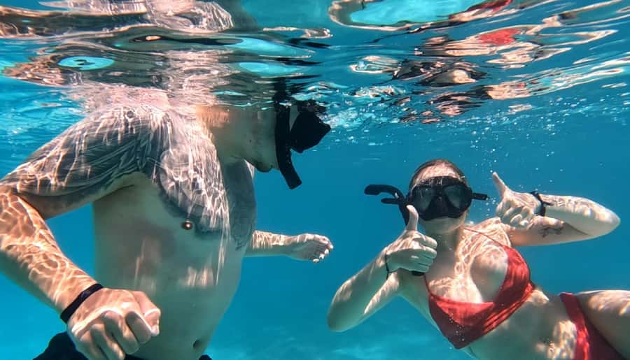 Hurghada: Private Speedboat to Dolphin House with Pickup - Optional flight time above the Red Sea