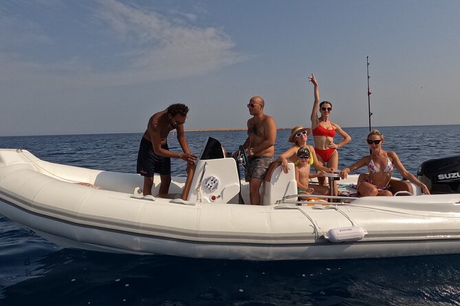 Hurghada Speedboat Dolphin Watching and Snorkeling - Snorkeling the Red Sea reefs