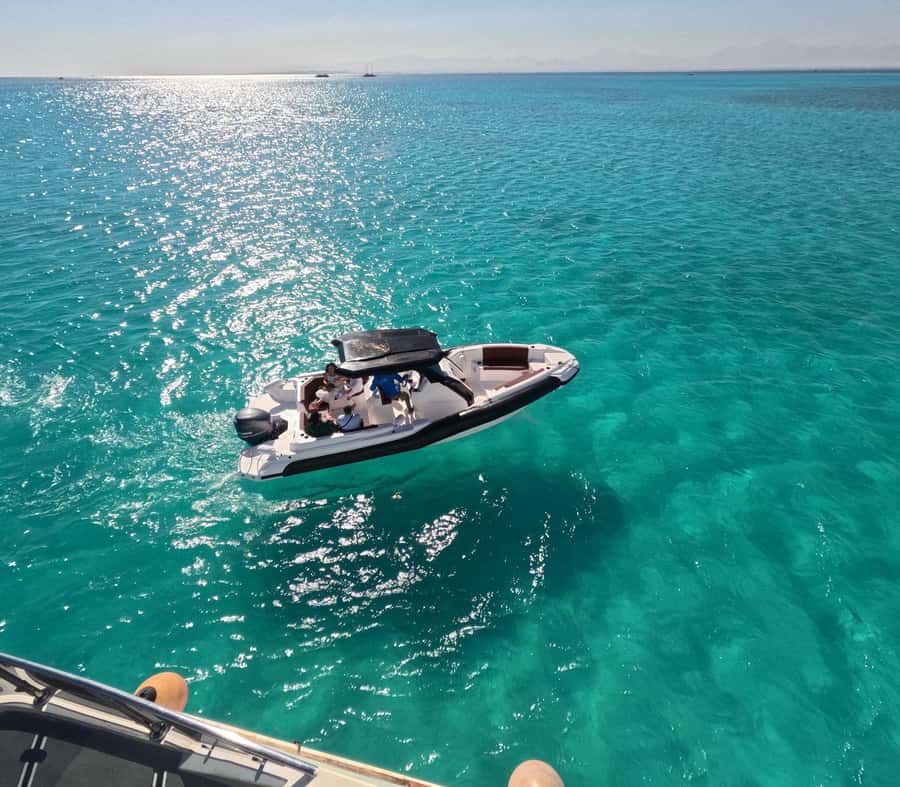Hurghada: Speedboat Dolphin Watching & Snorkeling with Lunch - Key points before you book