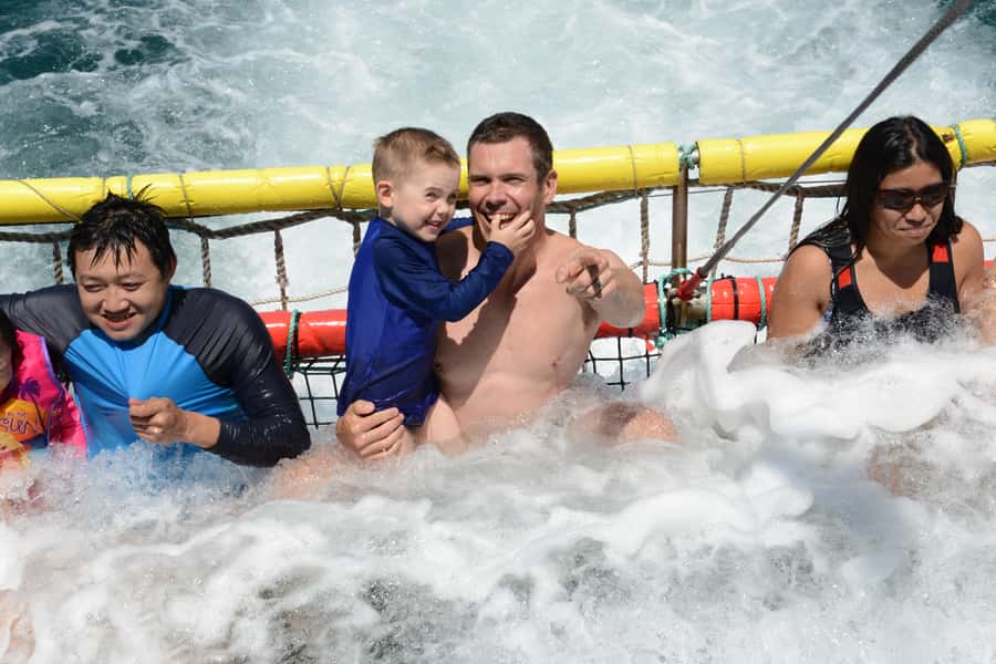 Huskisson: Dolphin Cruise & Boom Netting Experience - Why this 90-minute trip works so well