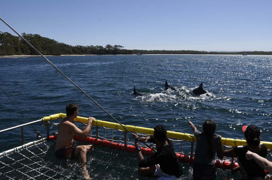 Huskisson: Dolphin Cruise & Boom Netting Experience - The protected marine park around you
