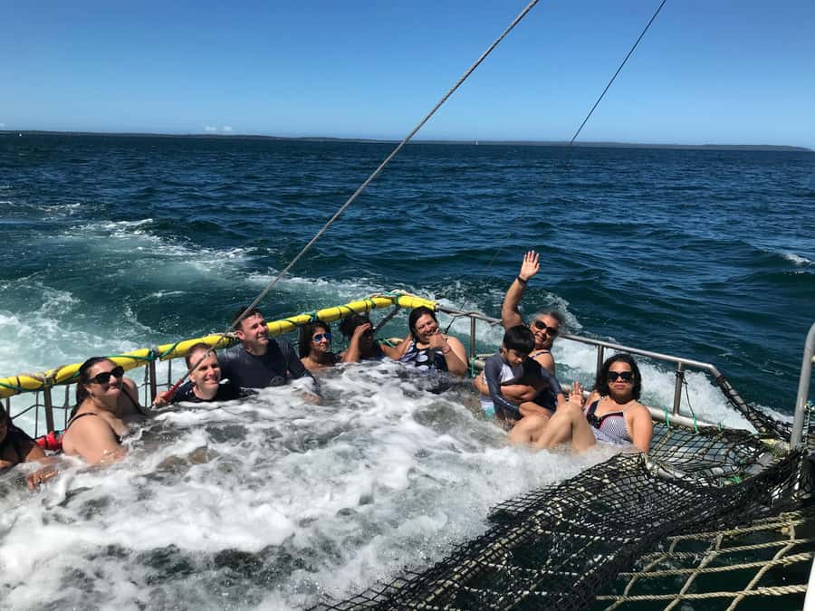 Huskisson: Dolphin Cruise & Boom Netting Experience - Crew service and comfort on board