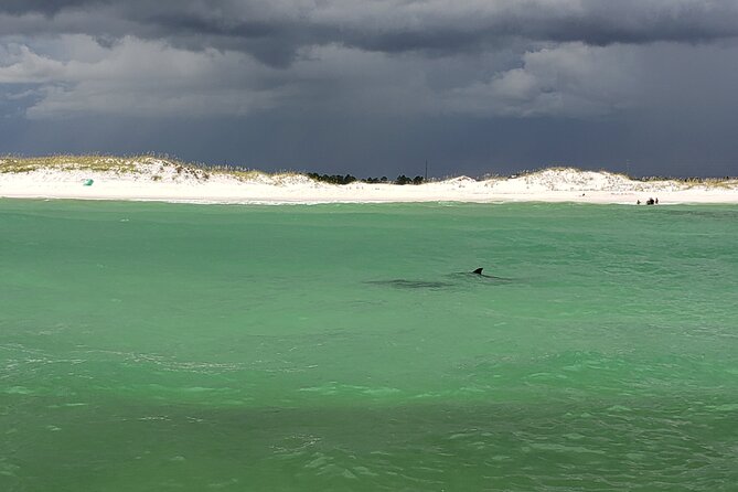 Hydro Rocket Dolphin Sightseeing Boat Tour from Destin - Key details before you book