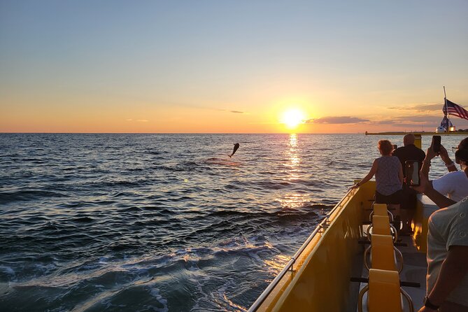 Hydro Rocket Dolphin Sightseeing Boat Tour from Destin - Returning through East Pass to Crab Island