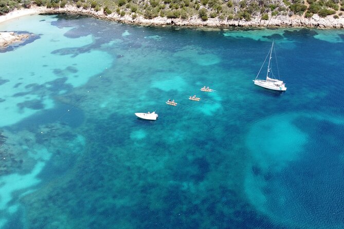 Hydrobike tour with aperitif and dolphins - A different way to travel across the Gulf of Olbia