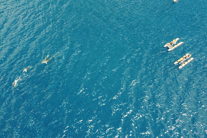 Hydrobike tour with aperitif and dolphins - What the price includes, and what it does not