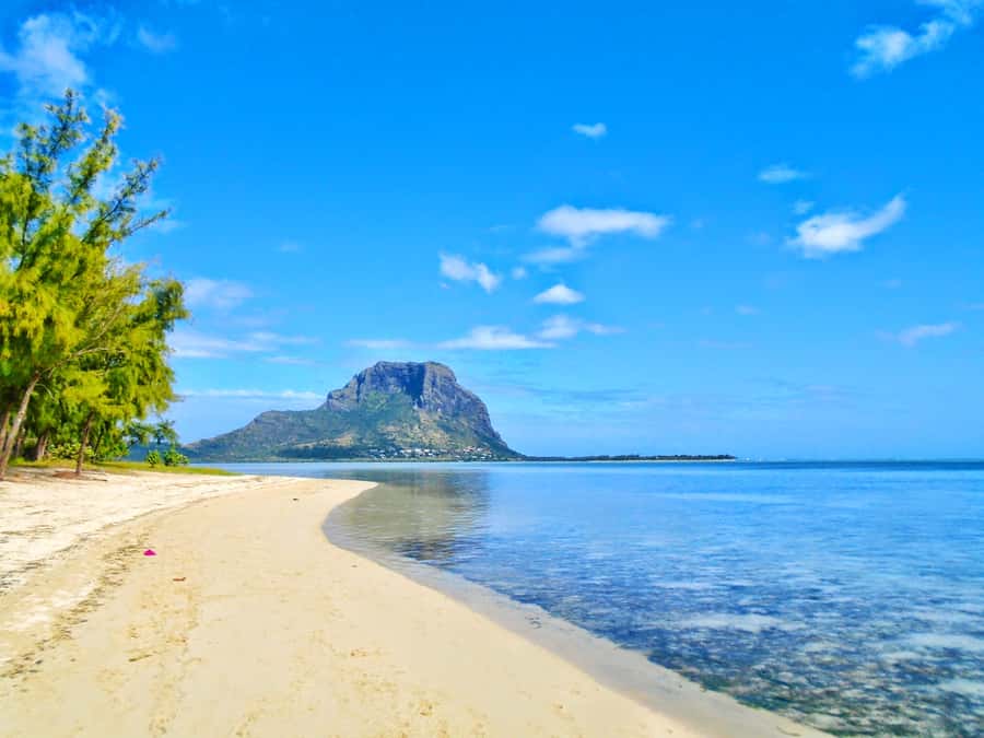 Île aux Bénitiers: Snorkeling w/Dolphins Boat Tour & Lunch - Who should book this experience?