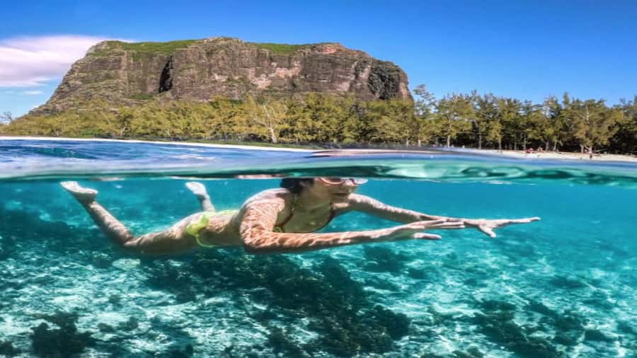 Île aux Bénitiers Snorkeling with Dolphins + Seafood Lunch - Who should book this day?