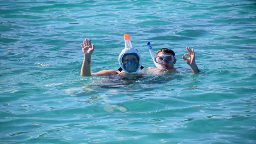 Île aux Bénitiers Snorkeling with Dolphins + Seafood Lunch - The dolphin encounter in the southwest lagoon