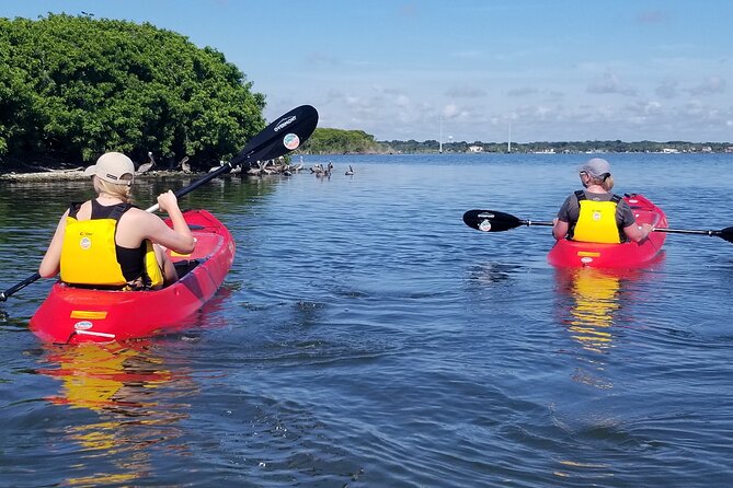 Indian River Clear Bottom Kayak or Paddleboarding Manatee and Dolphin Tour - Starting at Kiwanis Island Park in Merritt Island