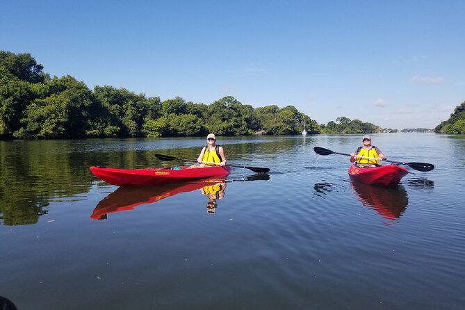 Indian River Clear Bottom Kayak or Paddleboarding Manatee and Dolphin Tour - How the guides shape the experience
