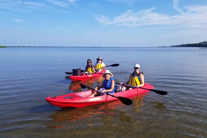 Indian River Clear Bottom Kayak or Paddleboarding Manatee and Dolphin Tour - Choosing between a clear-bottom kayak and paddleboard