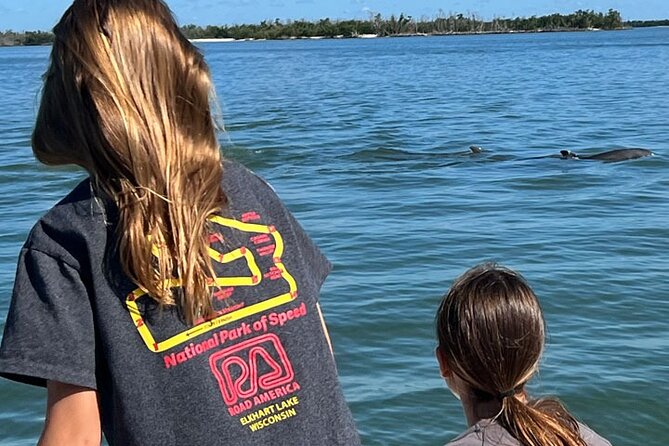 Island Paradise: Dolphin, Shelling, Birding Eco Boat Tour - Marco Island and Gulf water add variety