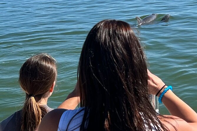 Island Paradise: Dolphin, Shelling, Birding Eco Boat Tour - What the guides add to the day