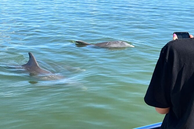 Island Paradise: Dolphin, Shelling, Birding Eco Boat Tour - Setting out through Ten Thousand Islands and Rookery Bay