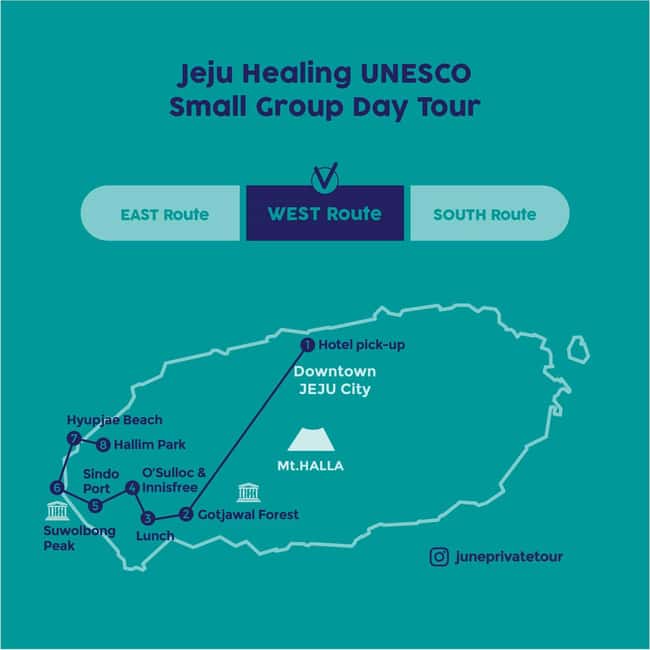 Jeju West: Small Group Healing Tour w/Caves & Dolphins - A gentle way to see western Jeju