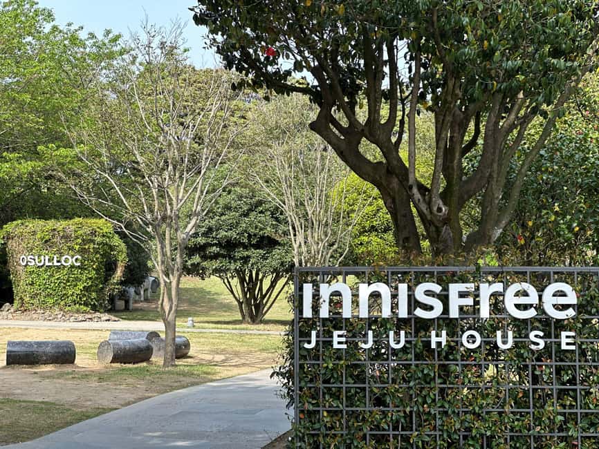 Jeju West: Small Group Healing Tour w/Caves & Dolphins - Who should book this day?