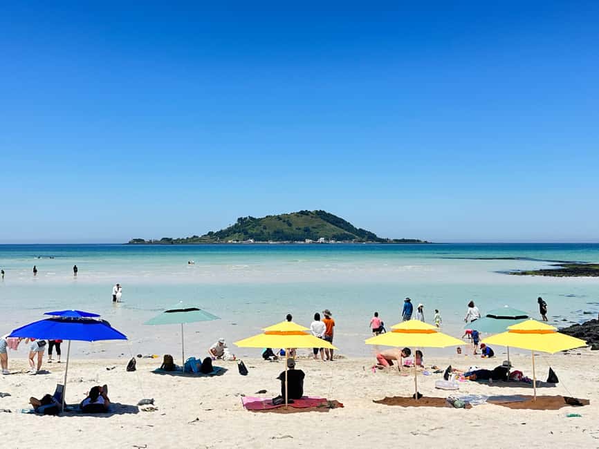 Jeju West: Small Group Healing Tour w/Caves & Dolphins - Gotjawal Provincial Park: Jeju’s forest on lava