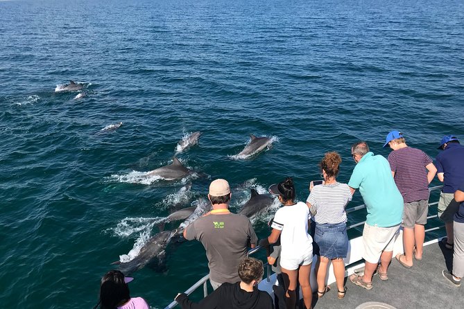 Jervis Bay Dolphin Cruise - Key things to know before boarding