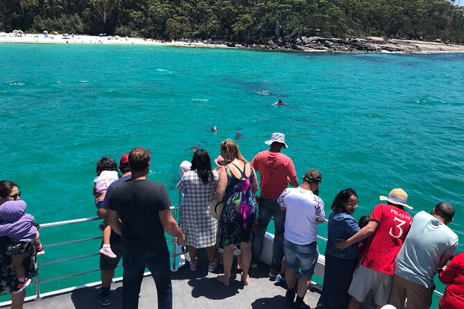 Jervis Bay Dolphin Cruise - What happens when the dolphins do not appear