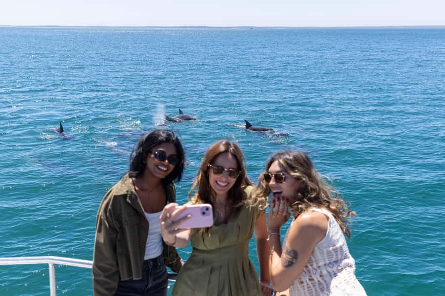 Jervis Bay Dolphin Cruise, Lunch, Berry&Kiama Blowhole Tour - Why This South Coast Day Trip Works