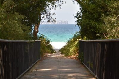 Jervis Bay Tour with Dolphins, Kangaroos & World’s Whitest Beach