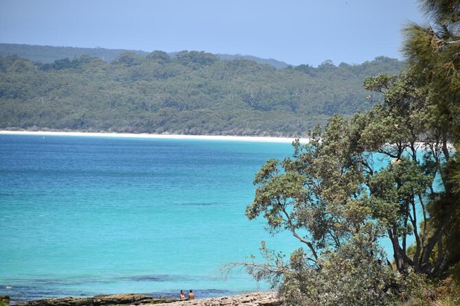 Jervis Bay Tour with Dolphins, Kangaroos & World's Whitest Beach - Walking the White Sands Trail to Hyams Beach