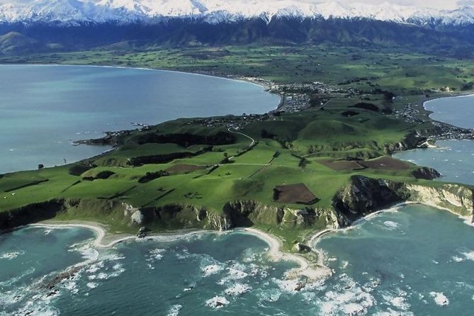 Kaikoura Swim with Dolphins Tour from Christchurch - Why Kaikoura is such a good place for this
