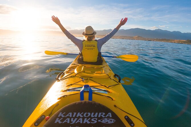 Kaikoura Swim with Dolphins Tour from Christchurch - Who should book this experience
