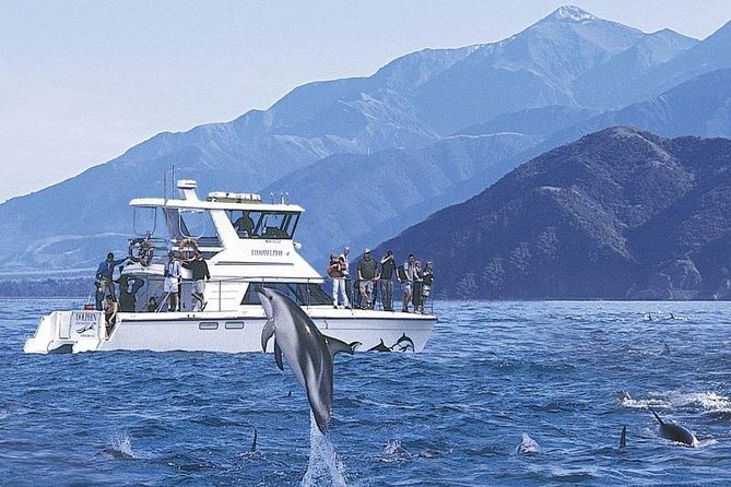 Kaikoura Swim with Dolphins Tour from Christchurch - The 7:00 a.m. pickup from Christchurch