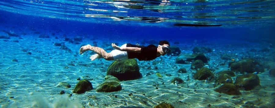 Kailua Kona: Dolphin, Sea Cave and Captain Cook Snorkel Tour - What the $115 price really buys you