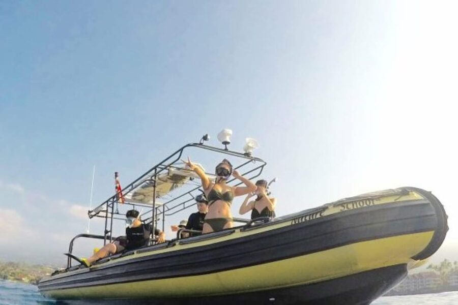 Kailua-Kona: Dolphin Watch & Double-Reef Snorkel Tour - Why a 10-person group changes the experience