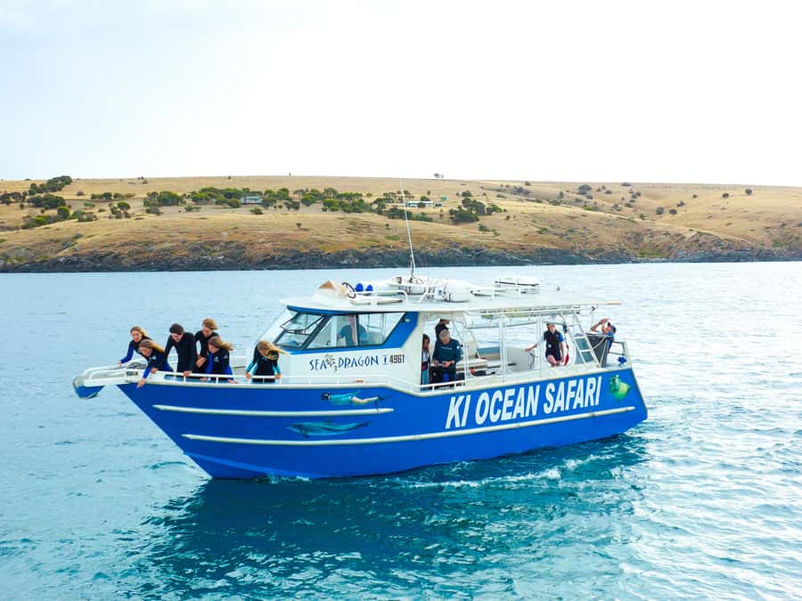 Kangaroo Island: Dolphin, Seal, and Swimming Boat Tour - The key points before you book