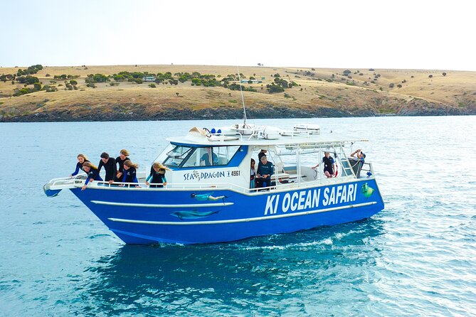 Kangaroo Island - Swim with Dolphins/Seals/Coastal Snorkel - What makes this Kangaroo Island safari special
