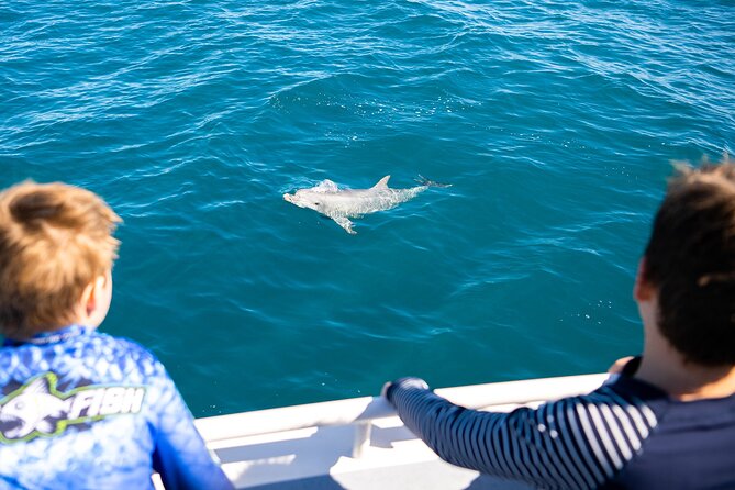 Kangaroo Island - Swim with Dolphins/Seals/Coastal Snorkel - Is $139.86 good value?