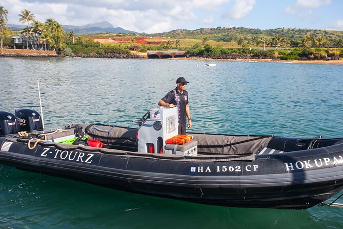 Kauai's South Side Whale and Dolphin Zodiac Boat Adventure - Searching for humpback whales from December through May