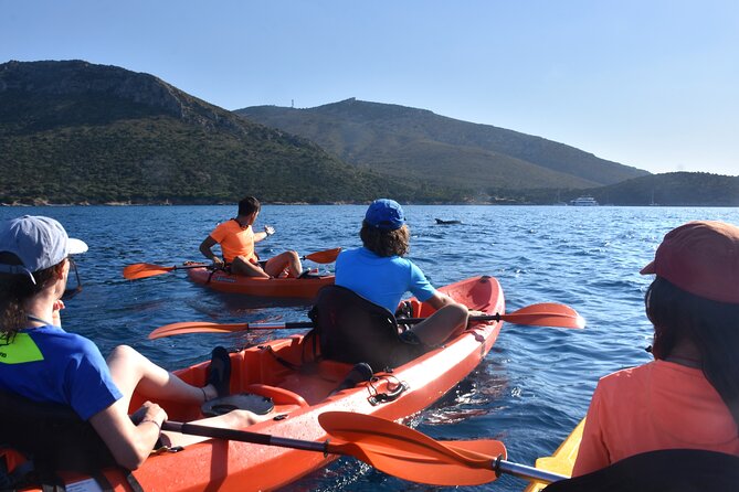 Kayak tour with aperitif and dolphins - Paddling along Cala Moresca’s coves