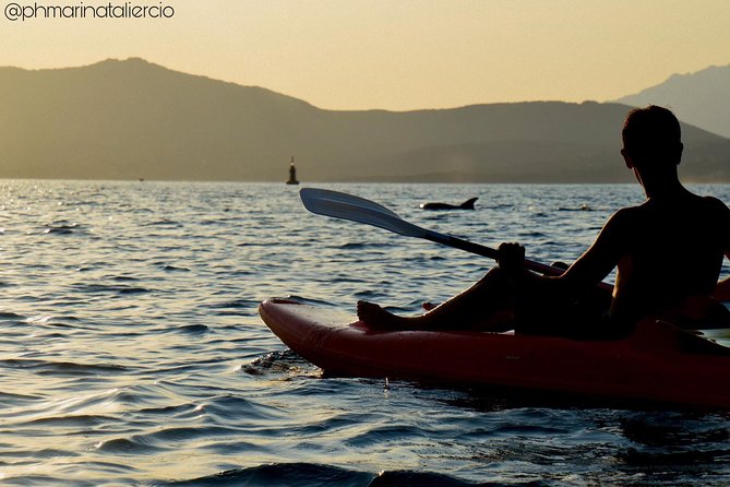 Kayak tour with aperitif and dolphins - Figarolo Island and the Sardinian aperitif