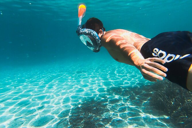 Kayak tour with aperitif and dolphins - The guides make the difference