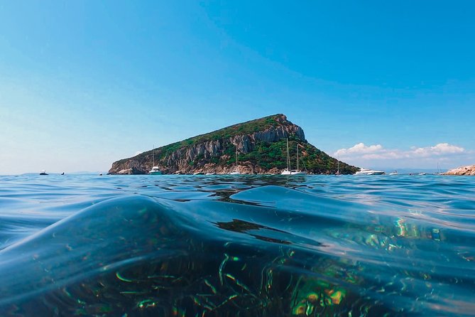 Kayak tour with aperitif and dolphins - How much value do you get for $54.42?