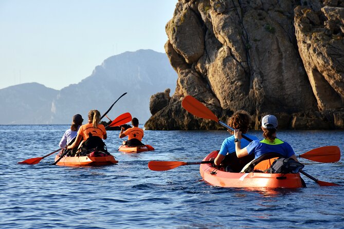 Kayak tour with aperitif and dolphins - Snorkeling among fish and sea urchins